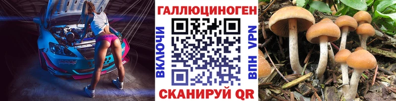 Псилоцибиновые грибы прущие грибы Солнечногорск