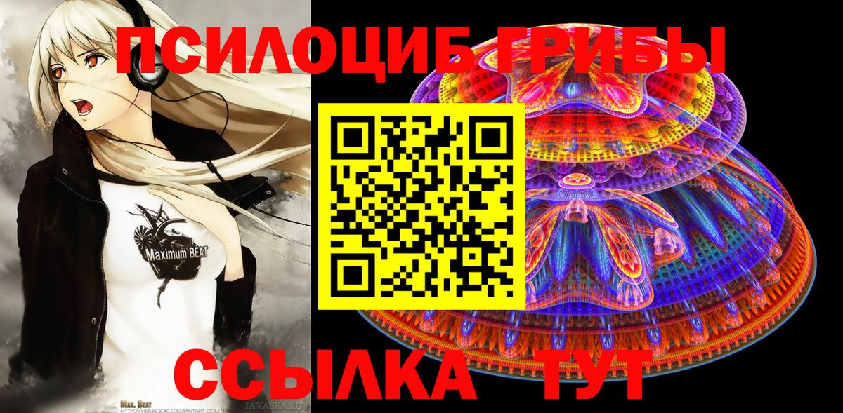 Солнечногорск  Псилоцибиновые грибы мицелий  Вход с VPN 