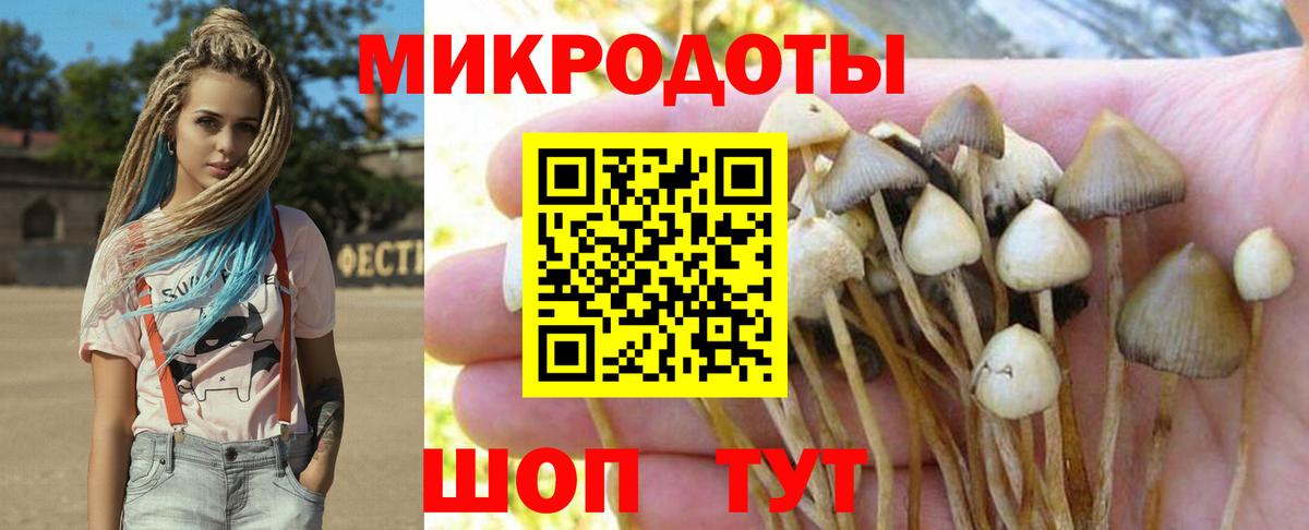 Галлюциногенные грибы мухоморы Солнечногорск